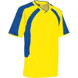 T-shirts/BST002 Sports tee/T-SHIRT-BST002 & BST002K- yellow-royal-